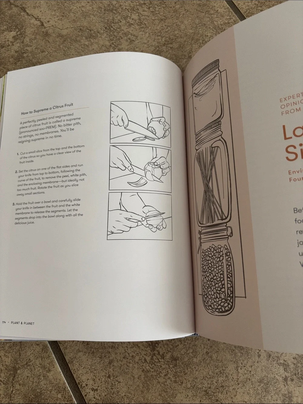 Plant and Planet Hardcover Cookbook